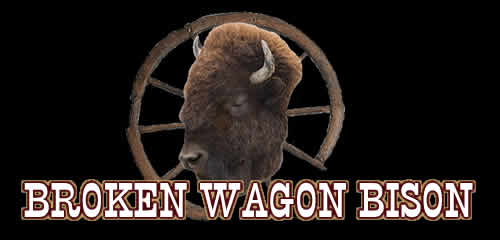 Broken Wagon Bison
