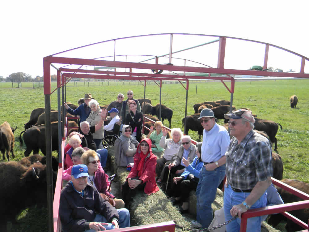 Bison Tour Wagon